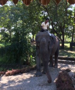 Nepal, Jagatpur, Chitwan