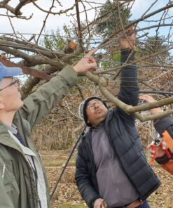 Nepal, Charikot, Dolaakha District